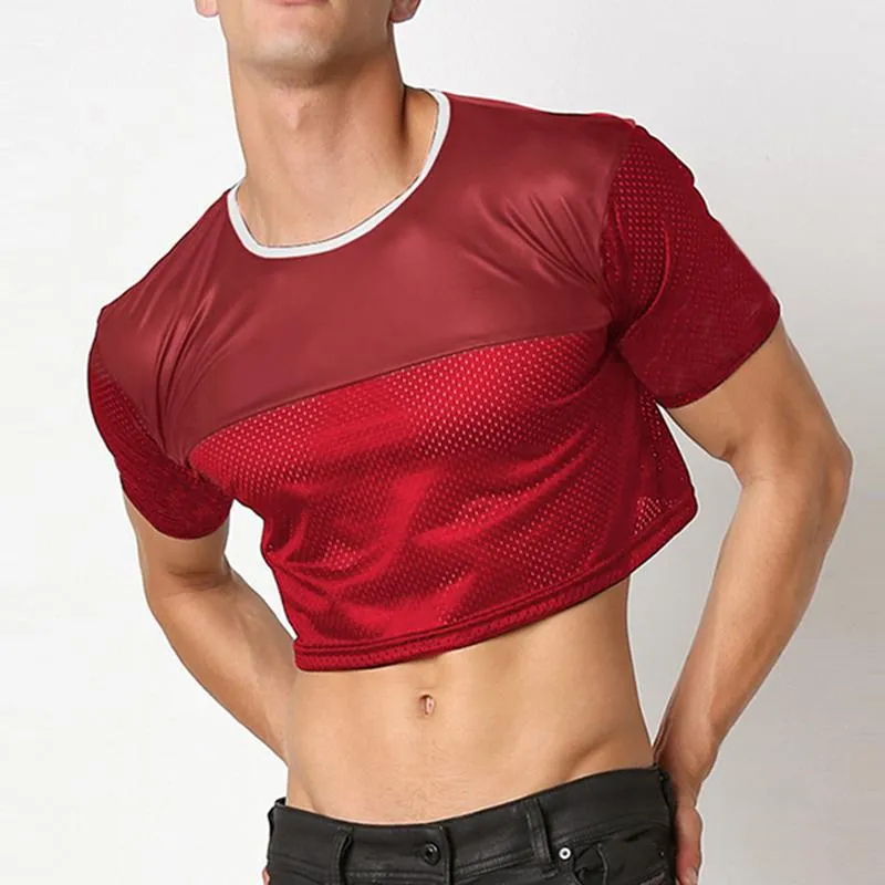 DUNGEON Glossy Mesh Cropped