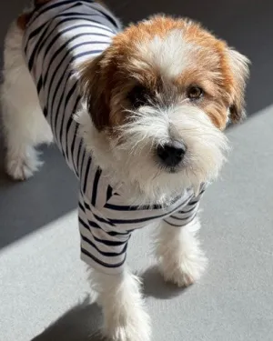 Tiny Gondolier Oatmeal   Navy Stripe Tee